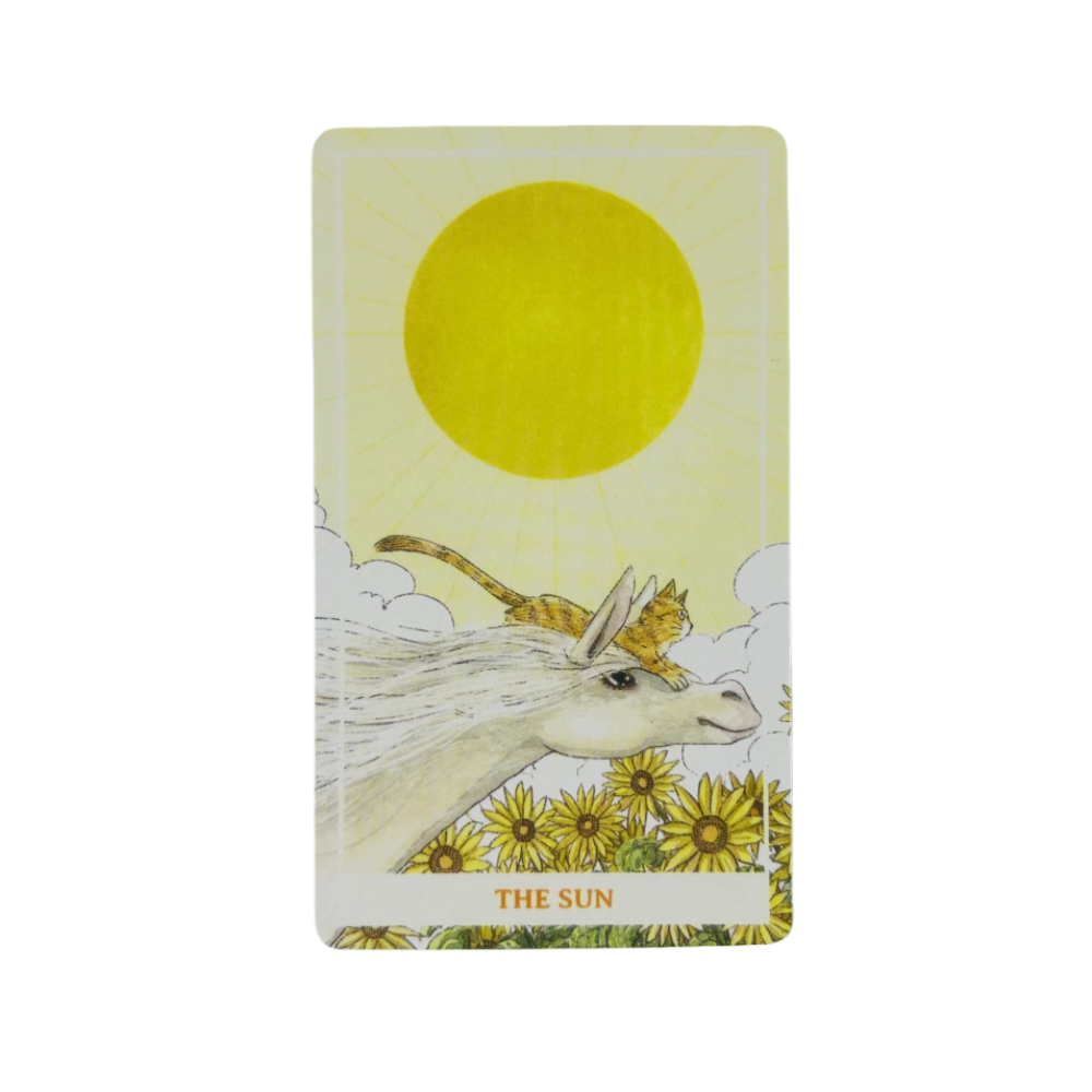 Sunny Orange Cat Tarot Cards A - огляд і ціна Tarot Deck With Guidebook